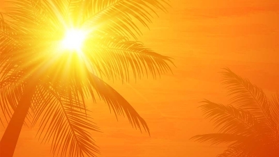 Sun Protection