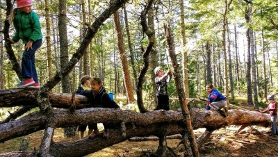 Timbernook