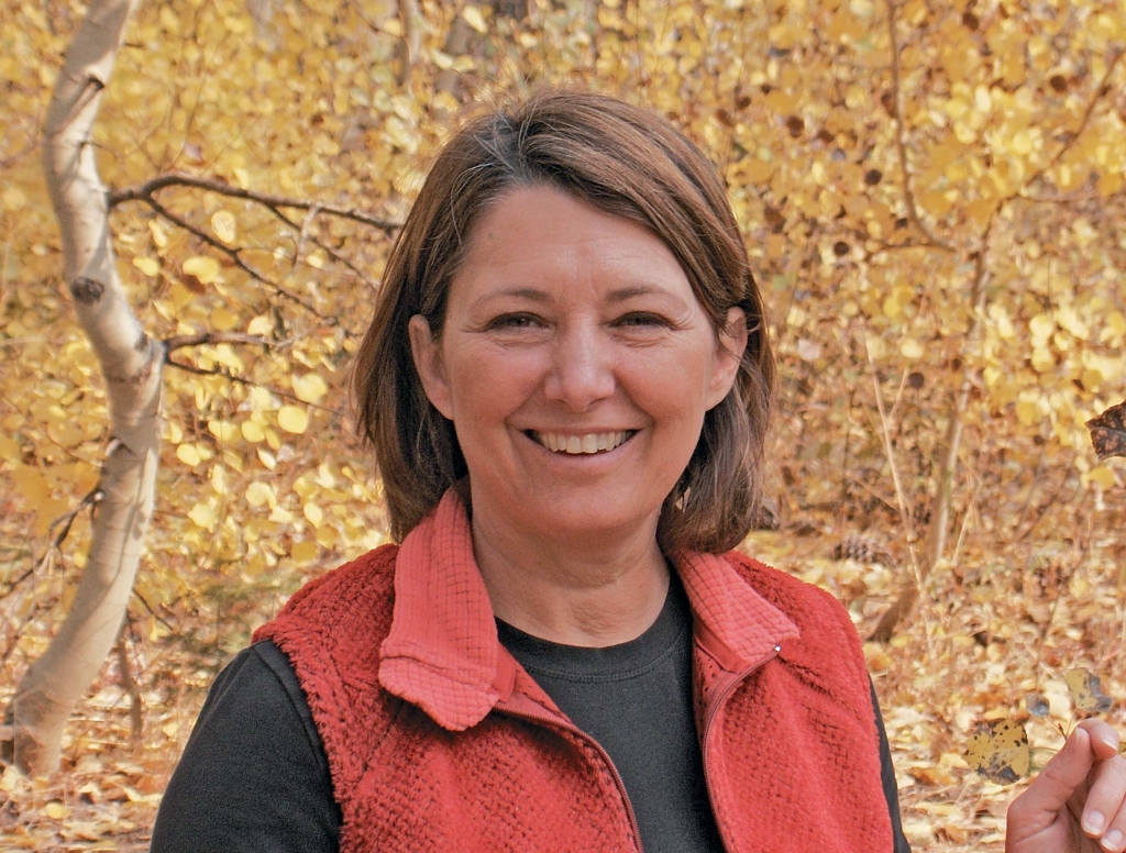 Teri Hendy